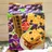 Grape Fruit Pulp Biscuits 300g