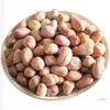 Hu Ji Hu Da Ma 110g Bagged Five-Spice Peanuts, Drinking Snack, Casual Snack, Roasted Skin-on Peanuts, Savory Snack