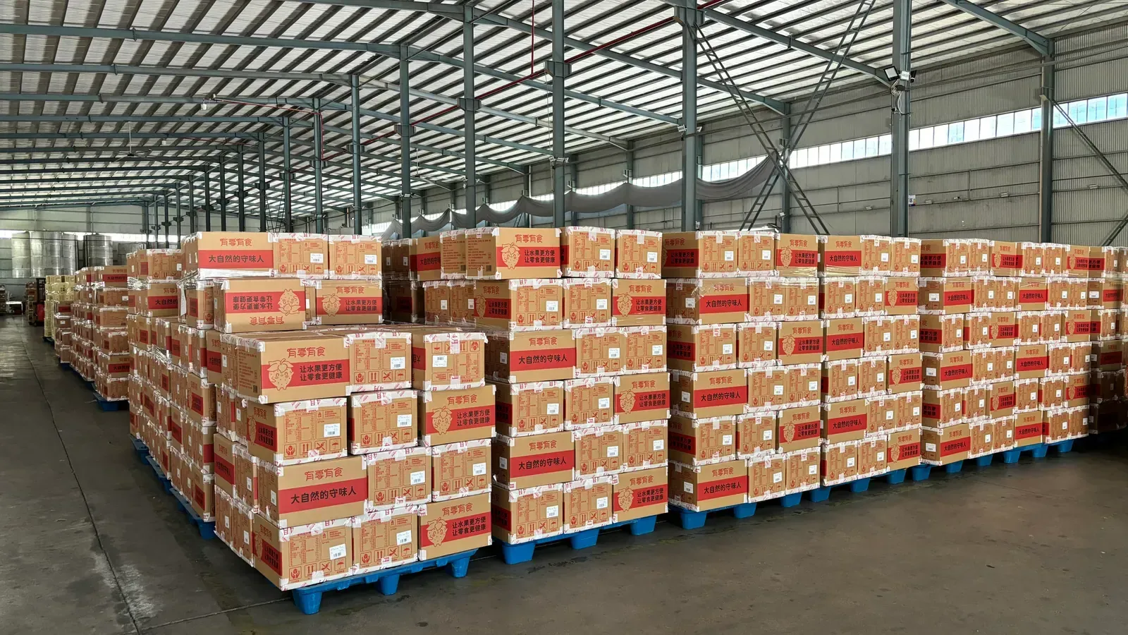 Large Scale Warehouse